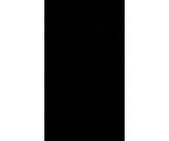 iPhone 6