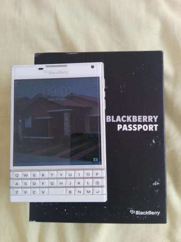 Vendo Hermoso Celular Blackberry Pasport